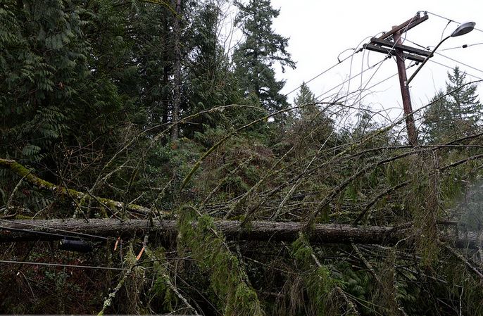 storm damage on lines