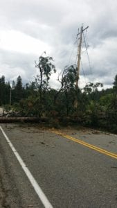 pole badly damaged