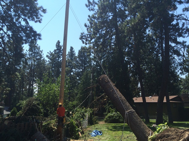 power pole damage Monday