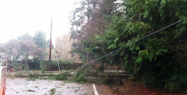 storm damage