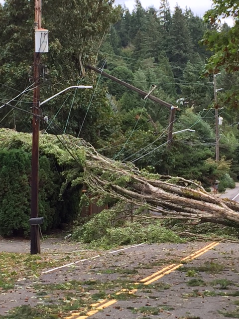 storm damage on lines