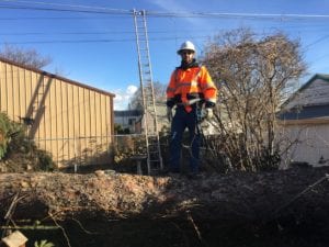 tech with ladder at repair site in Spokane