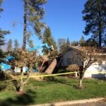 tree on house