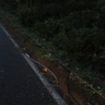 power lines on a road