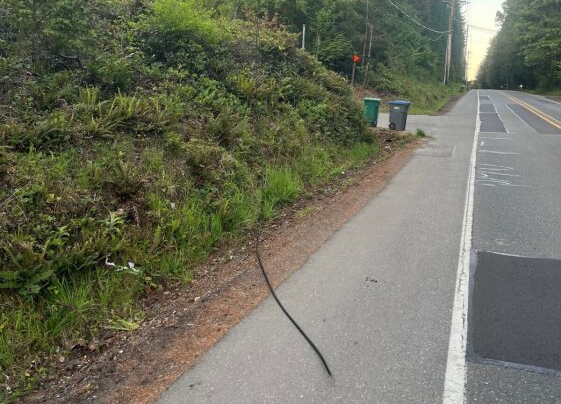 An image of a cut fiber line on a road.