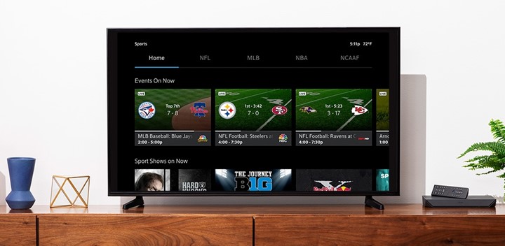 A football watching TV.